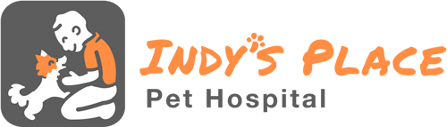 Indy's Place Pet Hospital